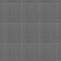 Lord & Tailor Fancy Suiting Perennial Collection