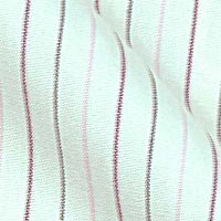 Pinpoint Oxford Cotton in Soft Multicolor Stripes on White