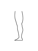 Large Muscular Thigh