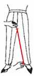 Trousers inseam