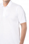 Polo & Golf Shirts – Mens Custom Polo & Golf Shirts – style number 17224