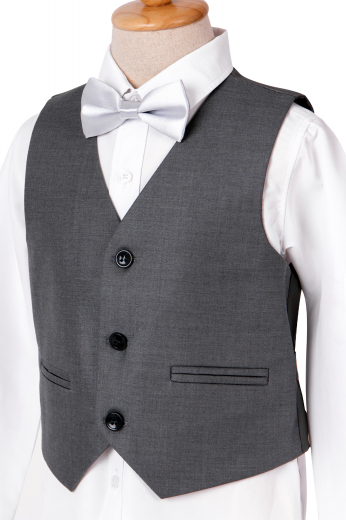 Mens Designer Brands â€“ Vests and Waistcoats â€“ style number 17326