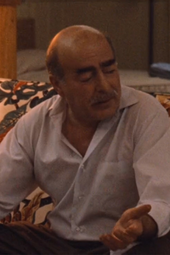 The Godfather Part II
